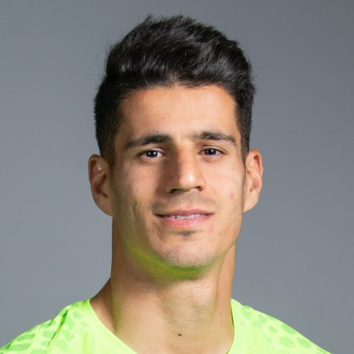 Mohammadjavad Hosseinnejad - Transfer history